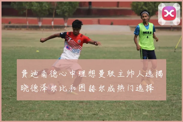 费迪南德心中理想曼联主帅人选揭晓德泽尔比和图赫尔成热门选择