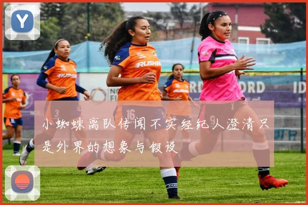 小蜘蛛离队传闻不实经纪人澄清只是外界的想象与假设